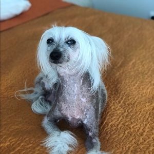 Meet your Posher, Angel